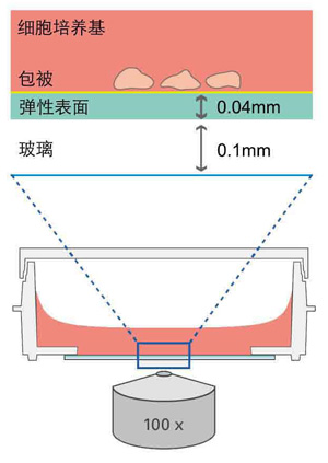 底部側面圖.jpg