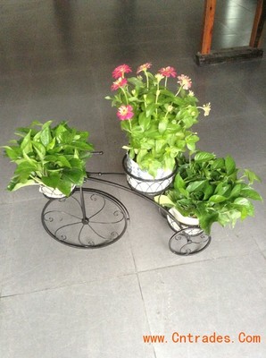 客家園藝 專(zhuān)業(yè)室內(nèi)花木租擺，綠化植物租賃首選