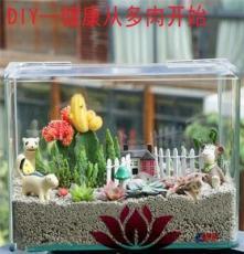 上海清繪園藝養(yǎng)護(hù)服務(wù) 以專業(yè)匠心，守護(hù)城市綠意之美